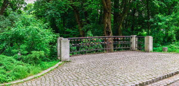 Footpath in park