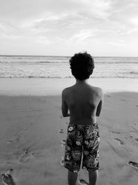 Rear view of man standing at beach against sky