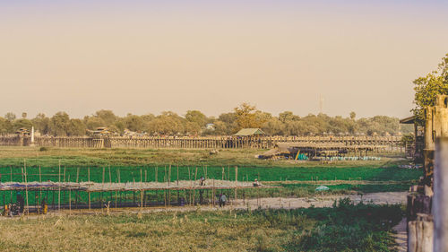 Scenic view of field against clear sky