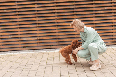 Full length of woman playing with dog on street