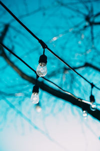 String lights with a blue background