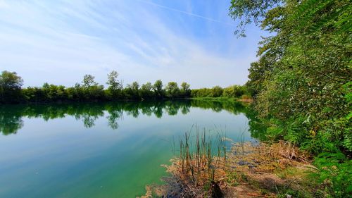 Scenic view of lake in forest against sky