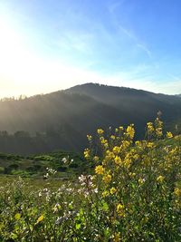 Scenic view of tree mountains against sky