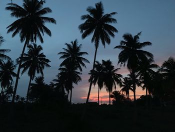 Silhouette palm trees against sky at sunset