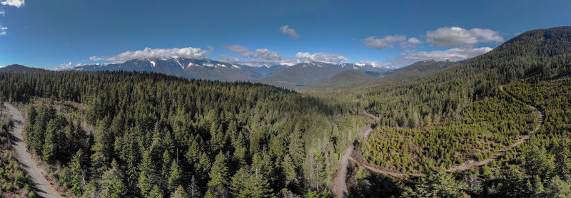 Aerial panoramic of forest and mountains