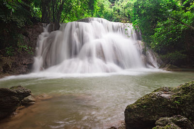 Scenic view of waterfall in forest