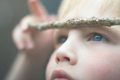 Close-up of boy with stick on head