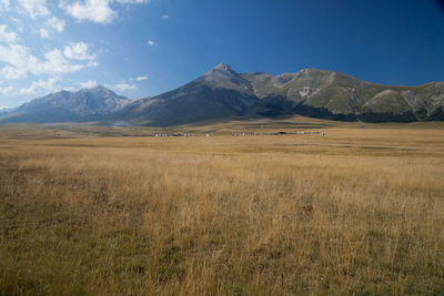 Idyllic shot of grassy field and mountains against blue sky