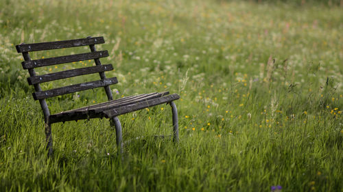 Empty seats in field