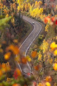 High angle view of road amidst trees