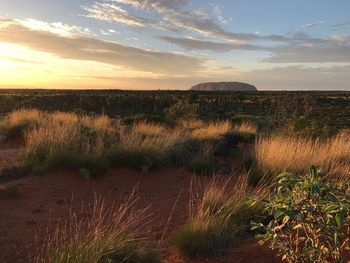 Scenic view of land against sky during sunset