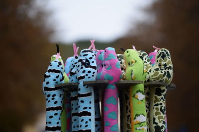 Close-up of multi colored pencils