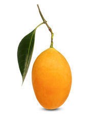 Close-up of orange fruit against white background