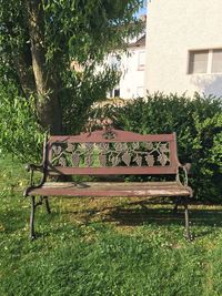 Empty bench in lawn