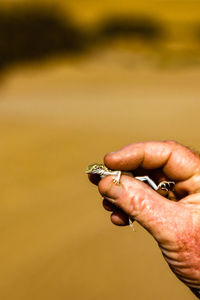 Close-up of hand holding cigarette