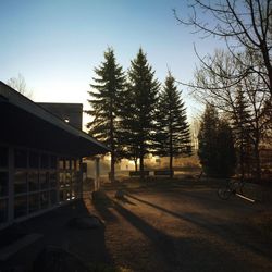 Empty road along buildings