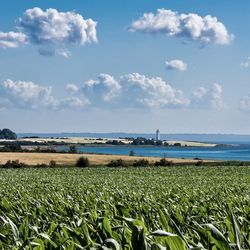 Scenic view of lighthouse and agricultural field against sky