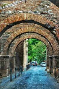 Archway of tree