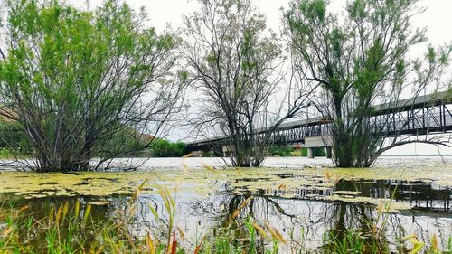 Lake with trees in background