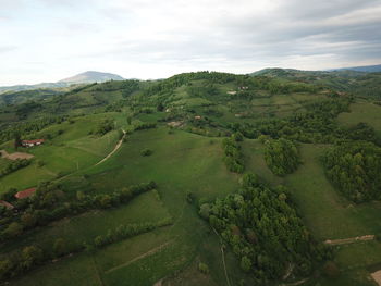 Scenic view of agricultural landscape against sky