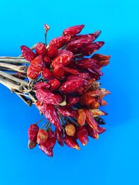 Low angle view of red berries against blue sky