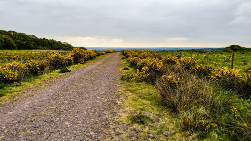 Scenic view of road amidst field against sky