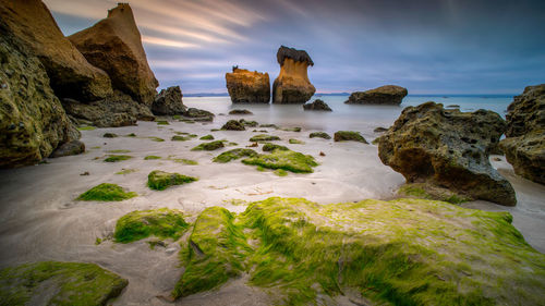 Scenic view of rocks on beach against sky