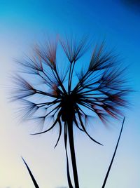 Low angle view of dandelion against sky