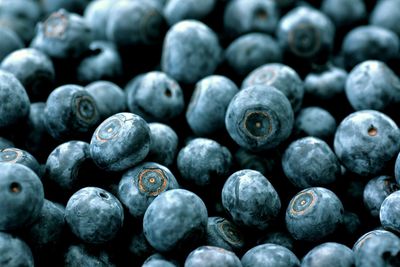 Full frame shot of blueberries