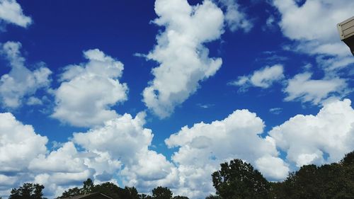 Low angle view of trees against cloudy sky