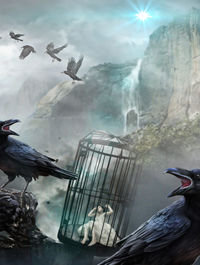 Close-up of seagull flying