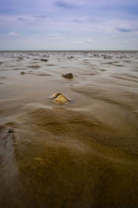 Surface level of beach against sky