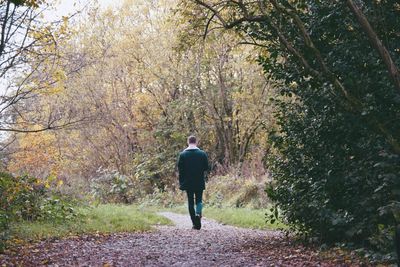 Rear view of man walking on footpath in forest