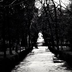 Road passing through forest