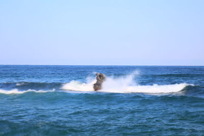 Scenic view of sea against clear sky