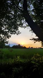 Scenic view of field against sky during sunset