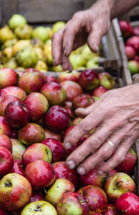 Close-up of fruit for sale at market stall