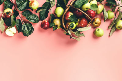 High angle view of fruits against white background