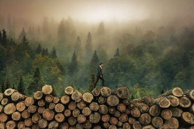 Side view of man walking on woodpile in forest during foggy weather