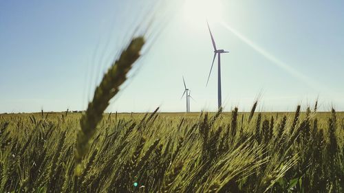 Low angle view of wind turbine in wheat field against sky