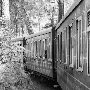 Toy train from kalka to shimla in india, toy train moving on mountain slope