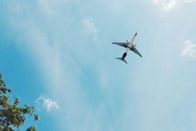 Low angle view of airplane flying in sky