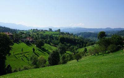 Scenic view of green landscape against sky