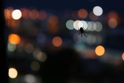 Defocused image of illuminated lights