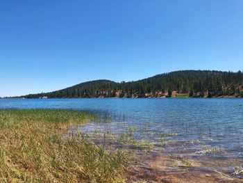 Scenic view of lake against clear blue sky