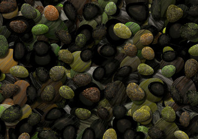 High angle view of vegetables for sale at market stall