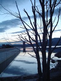 Bare trees against cloudy sky
