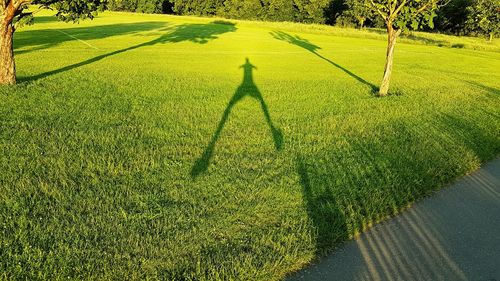 Footpath amidst grassy field