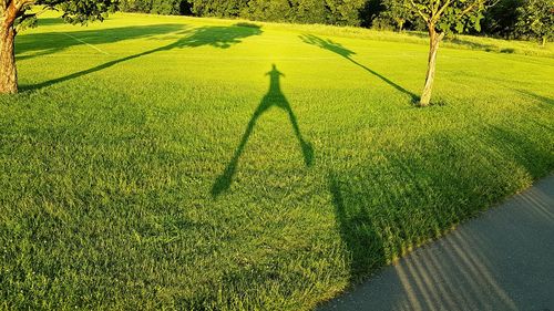 Human shadow on field