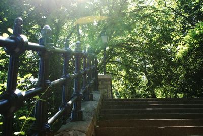 Railing with trees in background